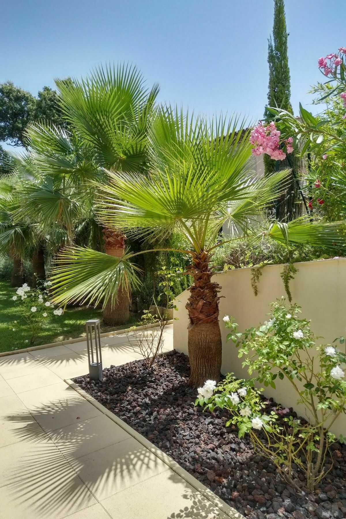 Maison Prestige Roberto Geissini Frühstückspension 3*